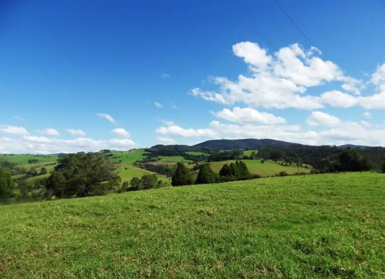 Third view of Homely rural property listing, 1026 Tyringham Road, Dorrigo NSW 2453