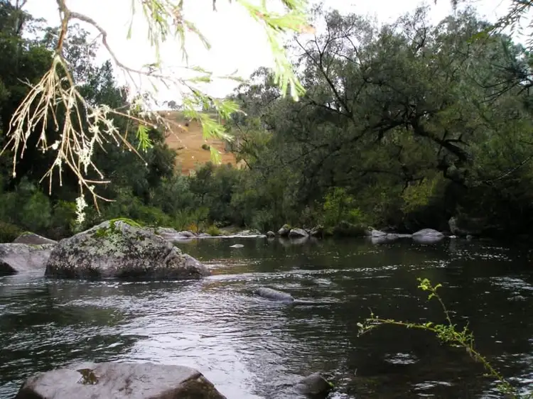 Fourth view of Homely rural property listing, 1026 Tyringham Road, Dorrigo NSW 2453
