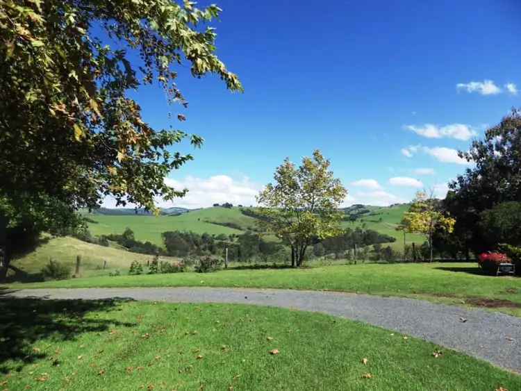 Fifth view of Homely rural property listing, 1026 Tyringham Road, Dorrigo NSW 2453