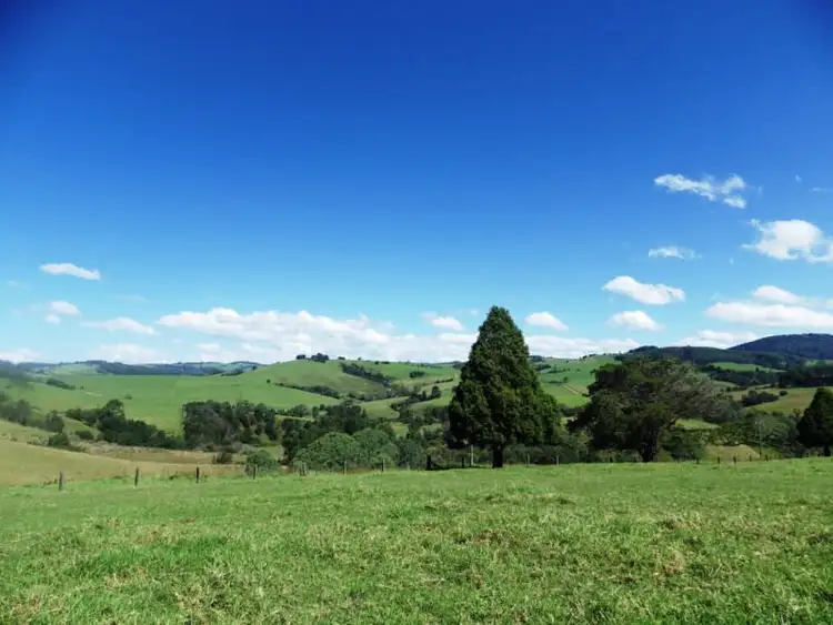 Seventh view of Homely rural property listing, 1026 Tyringham Road, Dorrigo NSW 2453
