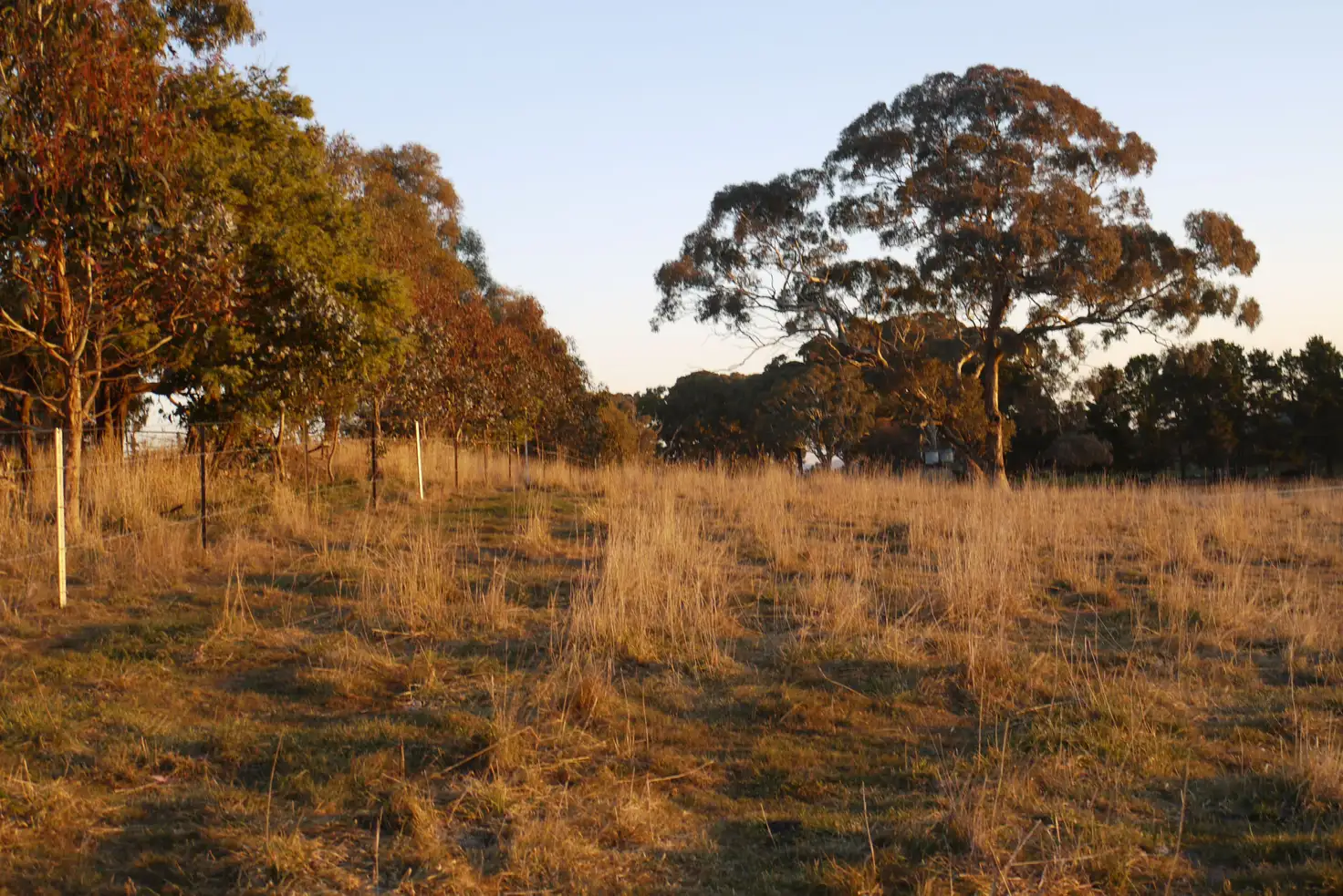 Main view of Homely rural property listing, Address available on request