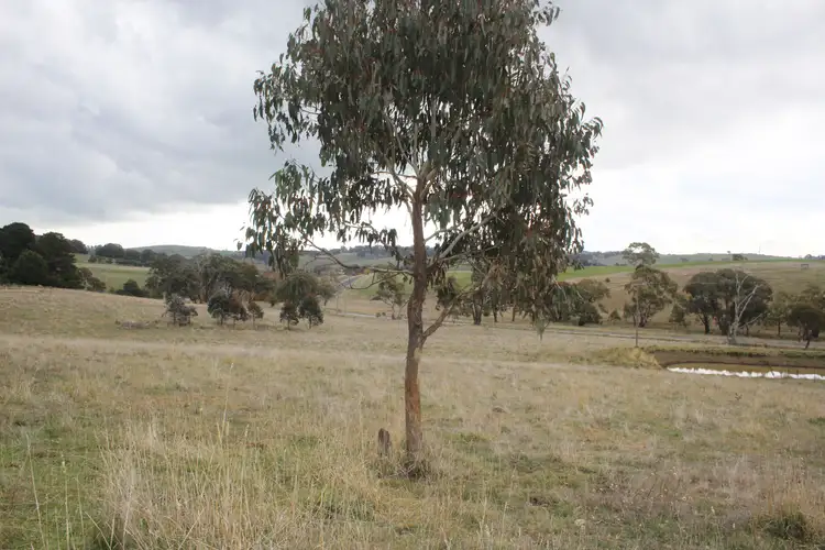 Fifth view of Homely rural property listing, Address available on request