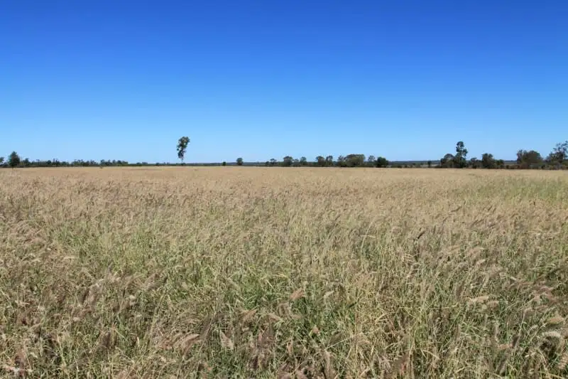 Main view of Homely rural property listing, 3054 KYILLA Road, Glenmorgan QLD 4423