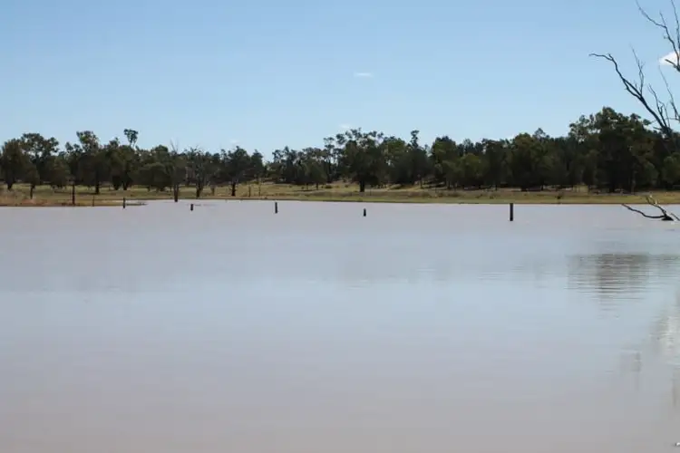 Fourth view of Homely rural property listing, 3054 KYILLA Road, Glenmorgan QLD 4423