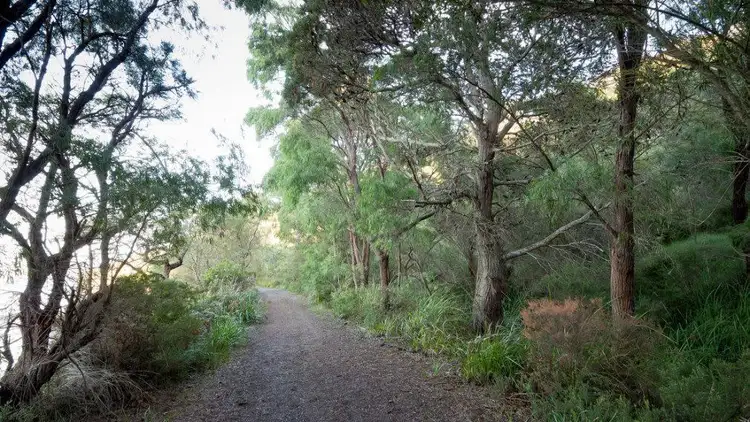 Sixth view of Homely land listing, Lot 111 Triggerplant Loop, Denmark WA 6333