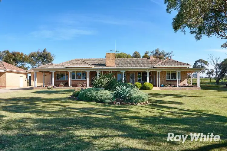 Main view of Homely rural property listing, 249 Burwood Road, Wistow SA 5251