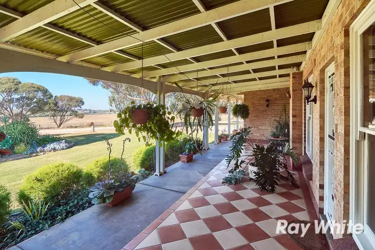 Second view of Homely rural property listing, 249 Burwood Road, Wistow SA 5251