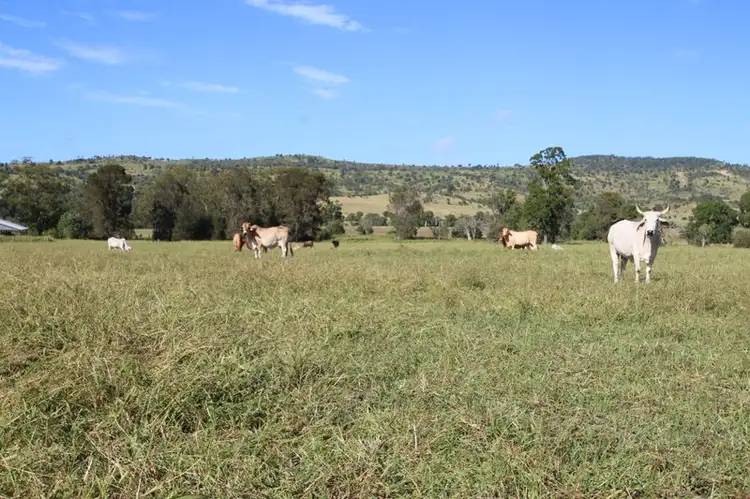 430 Cedar Creek Road, Monto QLD 4630