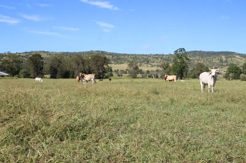 Main view of Homely rural property listing, 430 Cedar Creek Road, Monto QLD 4630