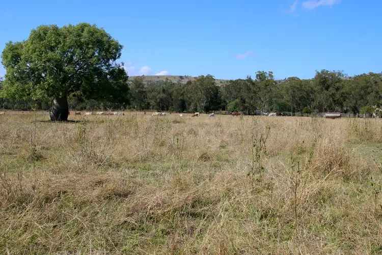 Fourth view of Homely rural property listing, 430 Cedar Creek Road, Monto QLD 4630
