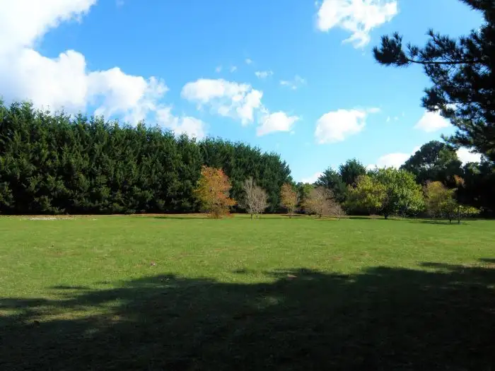 Second view of Homely rural property listing, Lot 3 King Road, Nannup WA 6275