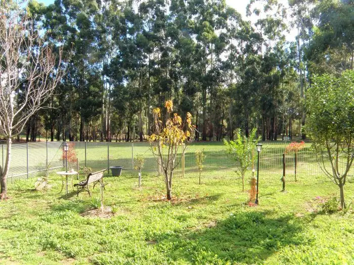 Sixth view of Homely rural property listing, Lot 3 King Road, Nannup WA 6275
