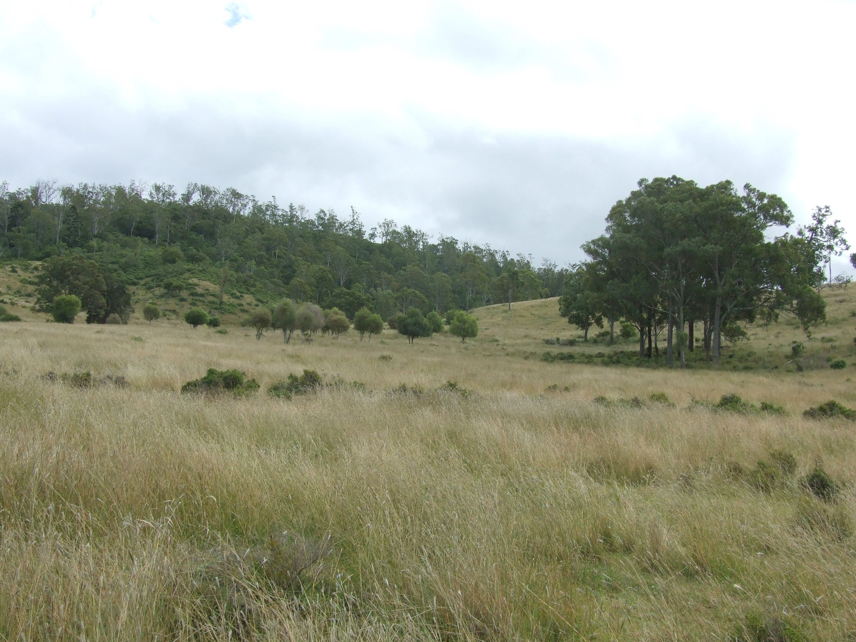 Main view of Homely rural property listing, L214 Graham Road, Cooyar QLD 4402