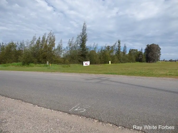 Second view of Homely land listing, 25 Parkes Road, Forbes NSW 2871