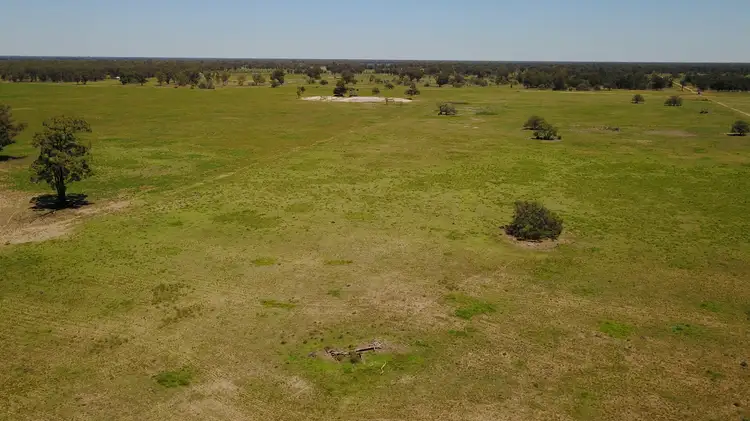 Main view of Homely rural property listing, ' CULLENYA', Gwabegar NSW 2356