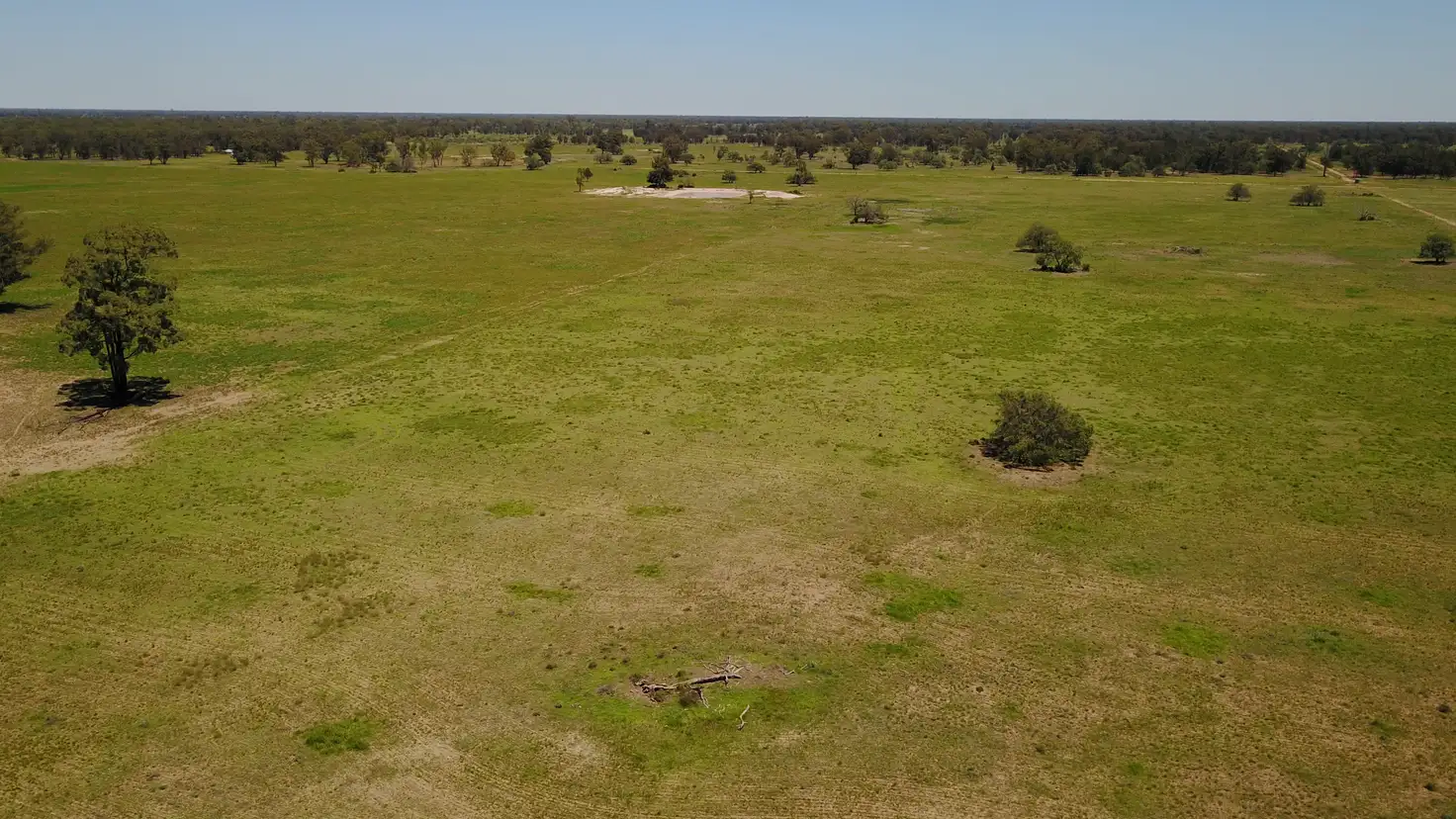 Main view of Homely rural property listing, ' CULLENYA', Gwabegar NSW 2356