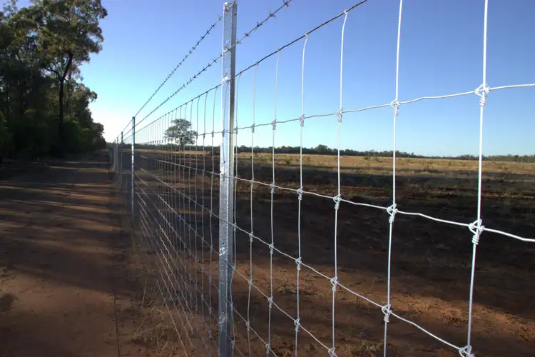 Third view of Homely rural property listing, ' CULLENYA', Gwabegar NSW 2356