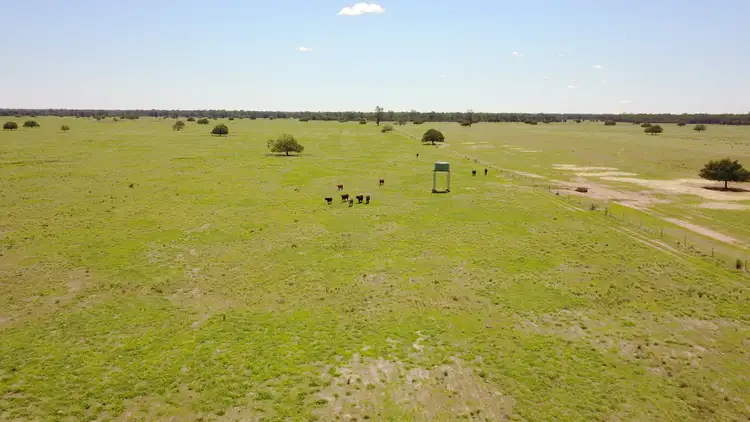 Seventh view of Homely rural property listing, ' CULLENYA', Gwabegar NSW 2356