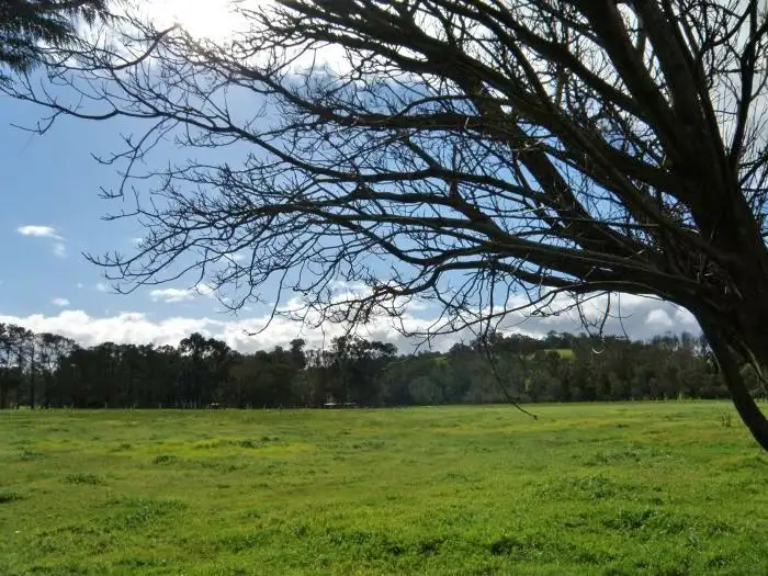 Third view of Homely rural property listing, Lot 99 East Nannup Road, Nannup WA 6275