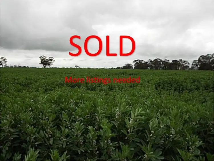 Lot 453 Siding Road, Bordertown SA 5268