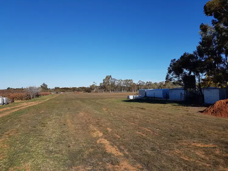 Second view of Homely land listing, 13 Maple Street, Barmera SA 5345