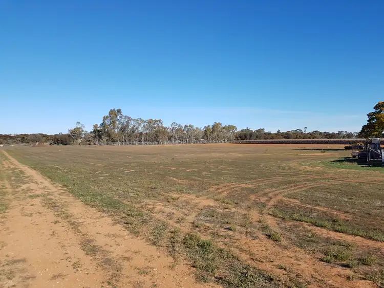 Third view of Homely land listing, 13 Maple Street, Barmera SA 5345