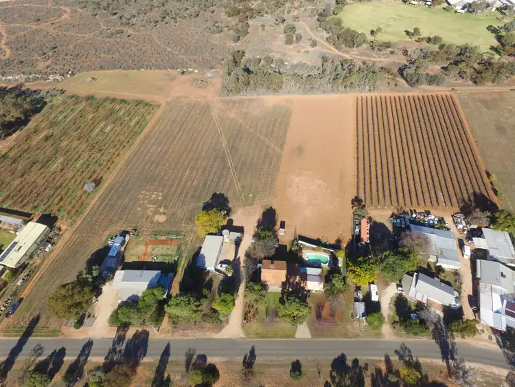 Fifth view of Homely land listing, 13 Maple Street, Barmera SA 5345