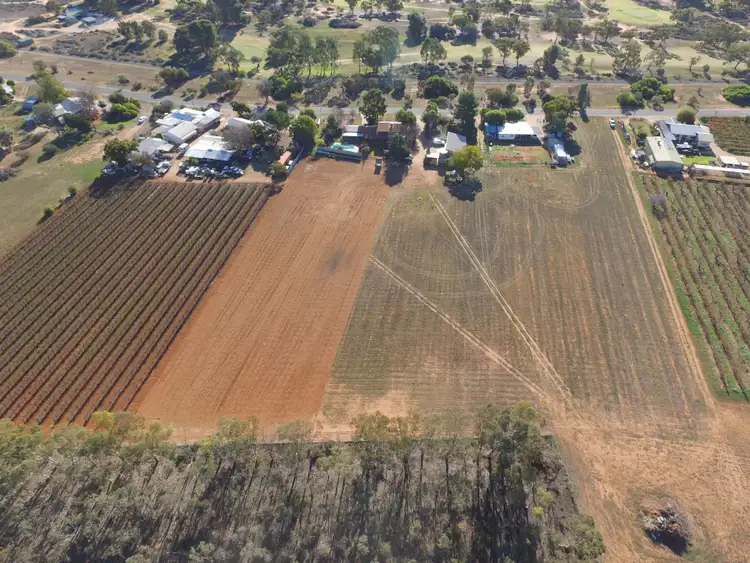 Sixth view of Homely land listing, 13 Maple Street, Barmera SA 5345