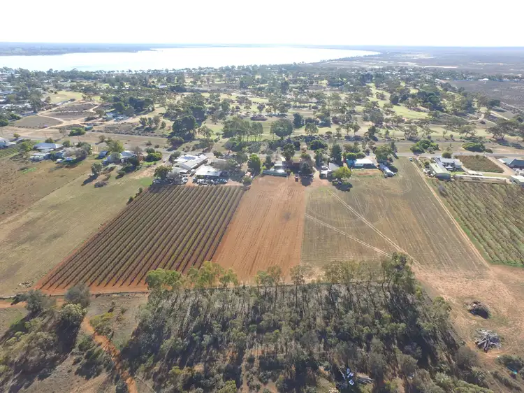 Seventh view of Homely land listing, 13 Maple Street, Barmera SA 5345