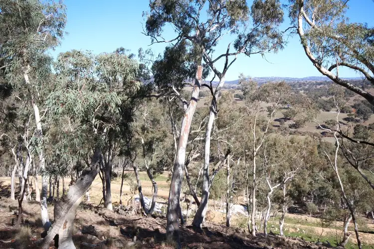 Second view of Homely rural property listing, 2902 Beaconsfield Road, Wisemans Creek NSW 2795