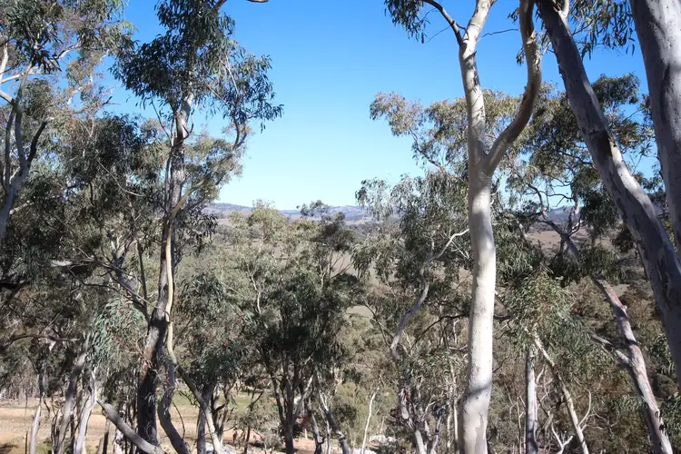 Third view of Homely rural property listing, 2902 Beaconsfield Road, Wisemans Creek NSW 2795