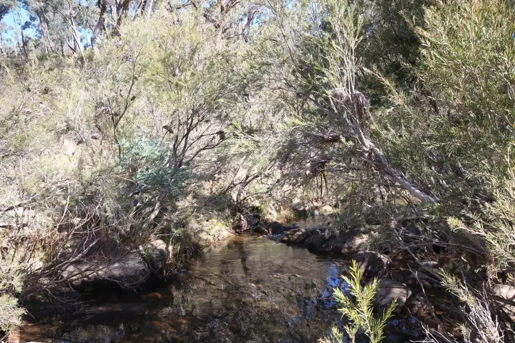 Fourth view of Homely rural property listing, 2902 Beaconsfield Road, Wisemans Creek NSW 2795