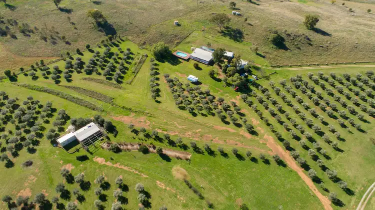 Main view of Homely rural property listing, 118 Sneesbys Lane, Manilla NSW 2346