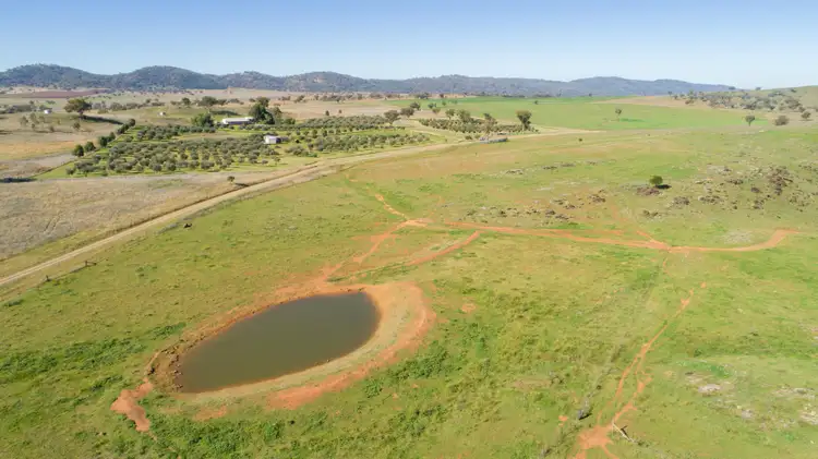 Second view of Homely rural property listing, 118 Sneesbys Lane, Manilla NSW 2346