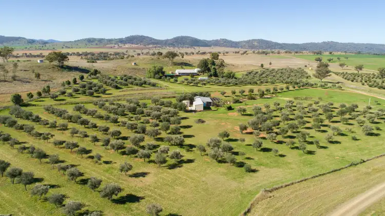 Fourth view of Homely rural property listing, 118 Sneesbys Lane, Manilla NSW 2346