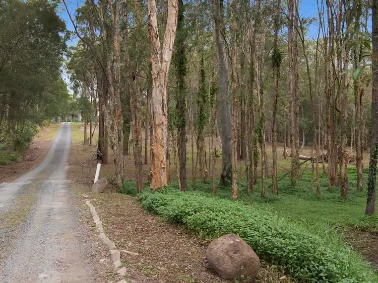 Sixth view of Homely rural property listing, 103 Warriewood Street, Chandler QLD 4155