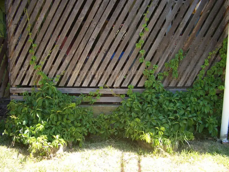 Third view of Homely house listing, 13 Ronald Street, Injune QLD 4454