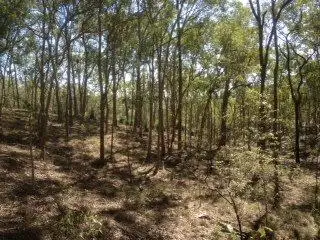 Second view of Homely rural property listing, 187 McKey Road, Crossdale QLD 4312