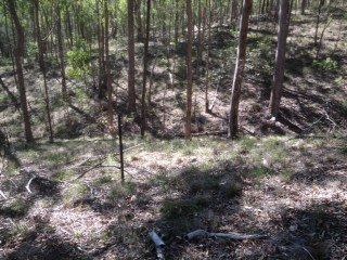 Third view of Homely rural property listing, 187 McKey Road, Crossdale QLD 4312