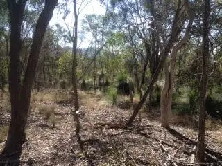 Fifth view of Homely rural property listing, 187 McKey Road, Crossdale QLD 4312