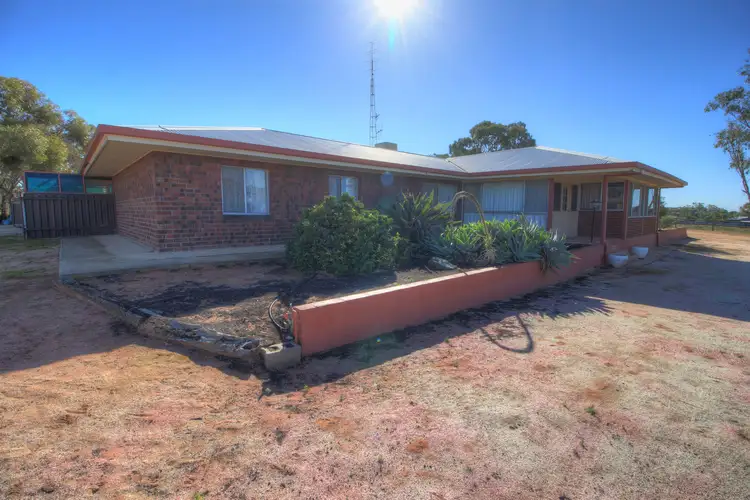 Main view of Homely house listing, 394 Winkie Road, Winkie SA 5343