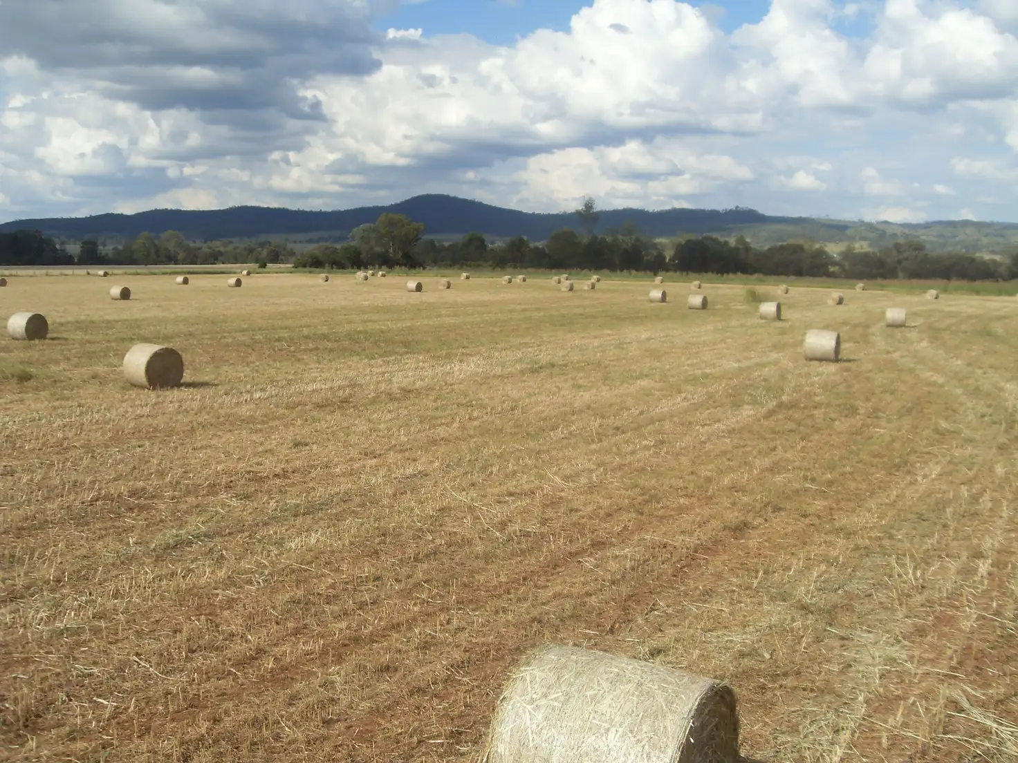 Main view of Homely rural property listing, 10 Morgans Road, Windera QLD 4605