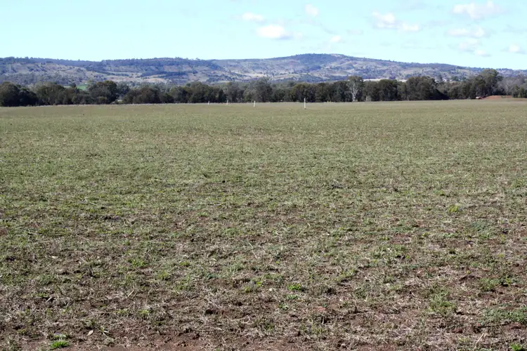 Fifth view of Homely rural property listing, 10 Morgans Road, Windera QLD 4605