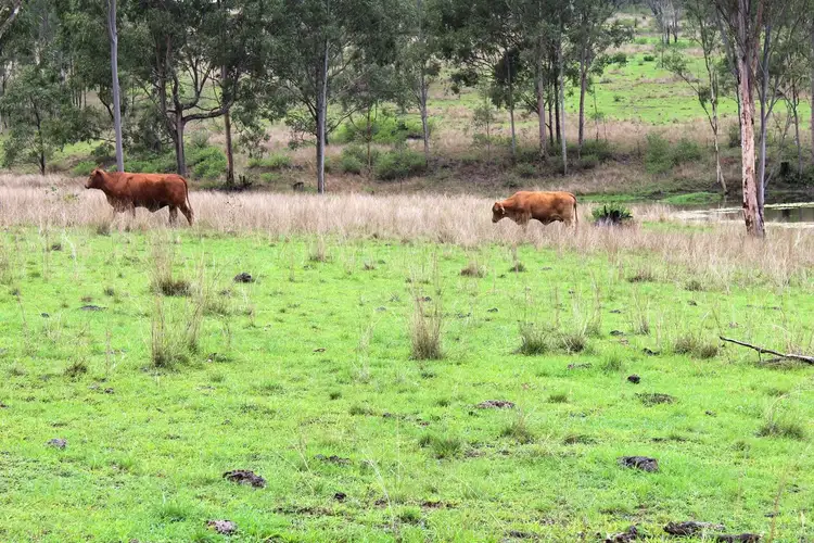 Third view of Homely rural property listing, Lot 2 Esk Crows Nest Road, Biarra QLD 4313
