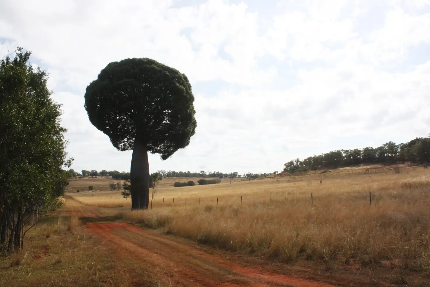 Main view of Homely rural property listing, 2007 Proston Boondoomba Road, Proston QLD 4613
