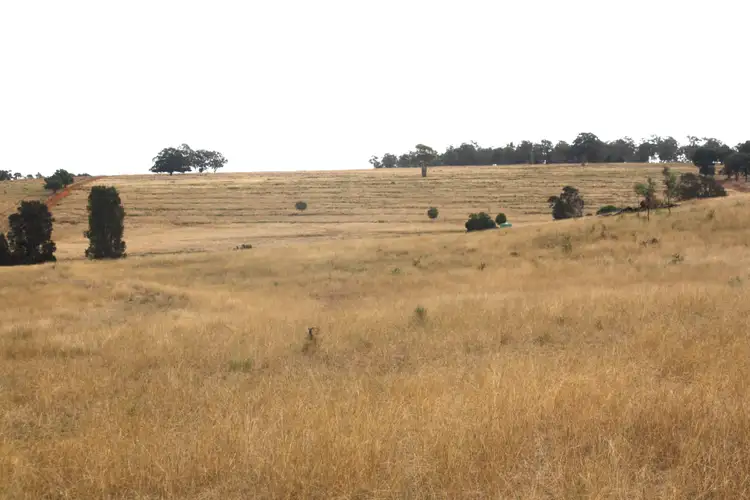 Second view of Homely rural property listing, 2007 Proston Boondoomba Road, Proston QLD 4613