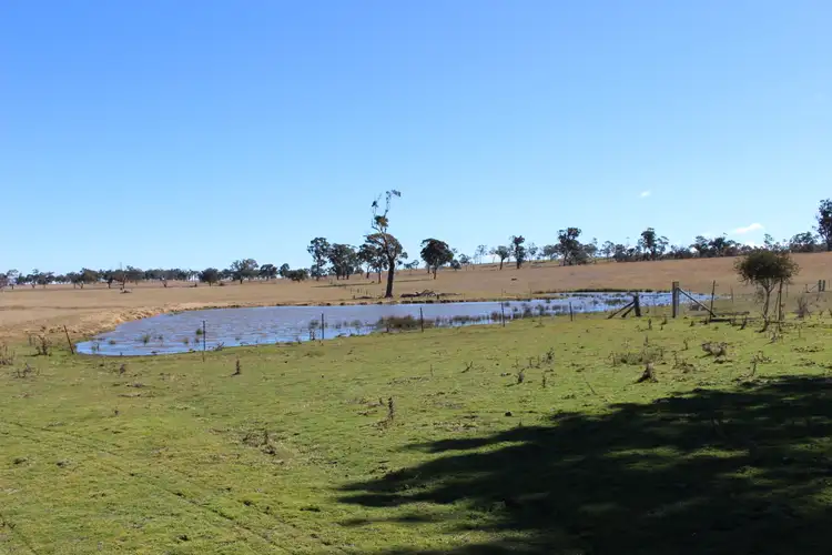 Second view of Homely rural property listing, Kenilworth 173 Lochaven Road, Armidale NSW 2350