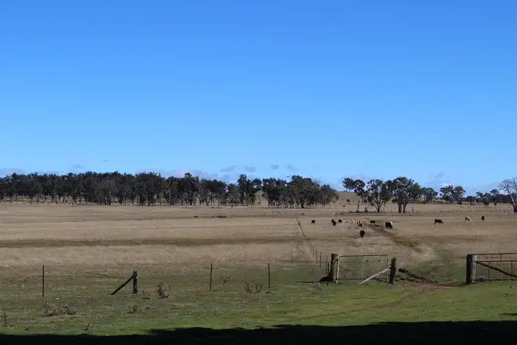 Sixth view of Homely rural property listing, Kenilworth 173 Lochaven Road, Armidale NSW 2350