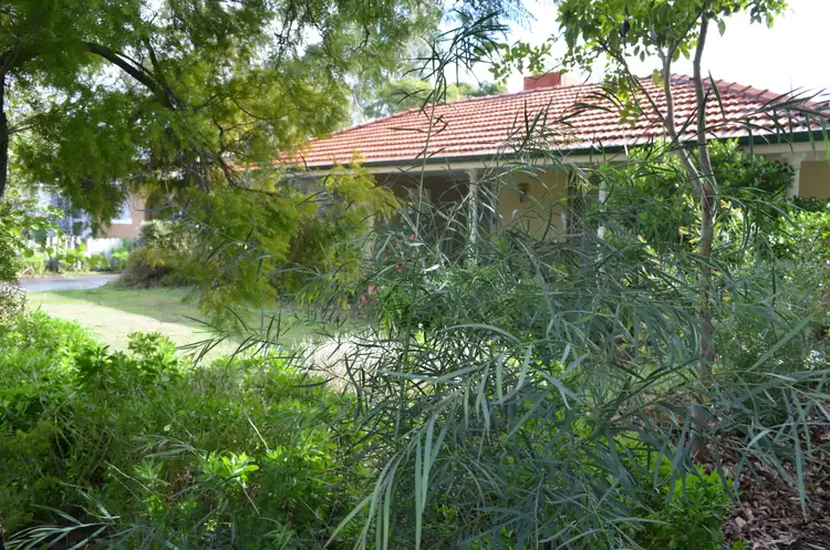 Second view of Homely house listing, 128 Blanche Street, Gosnells WA 6110