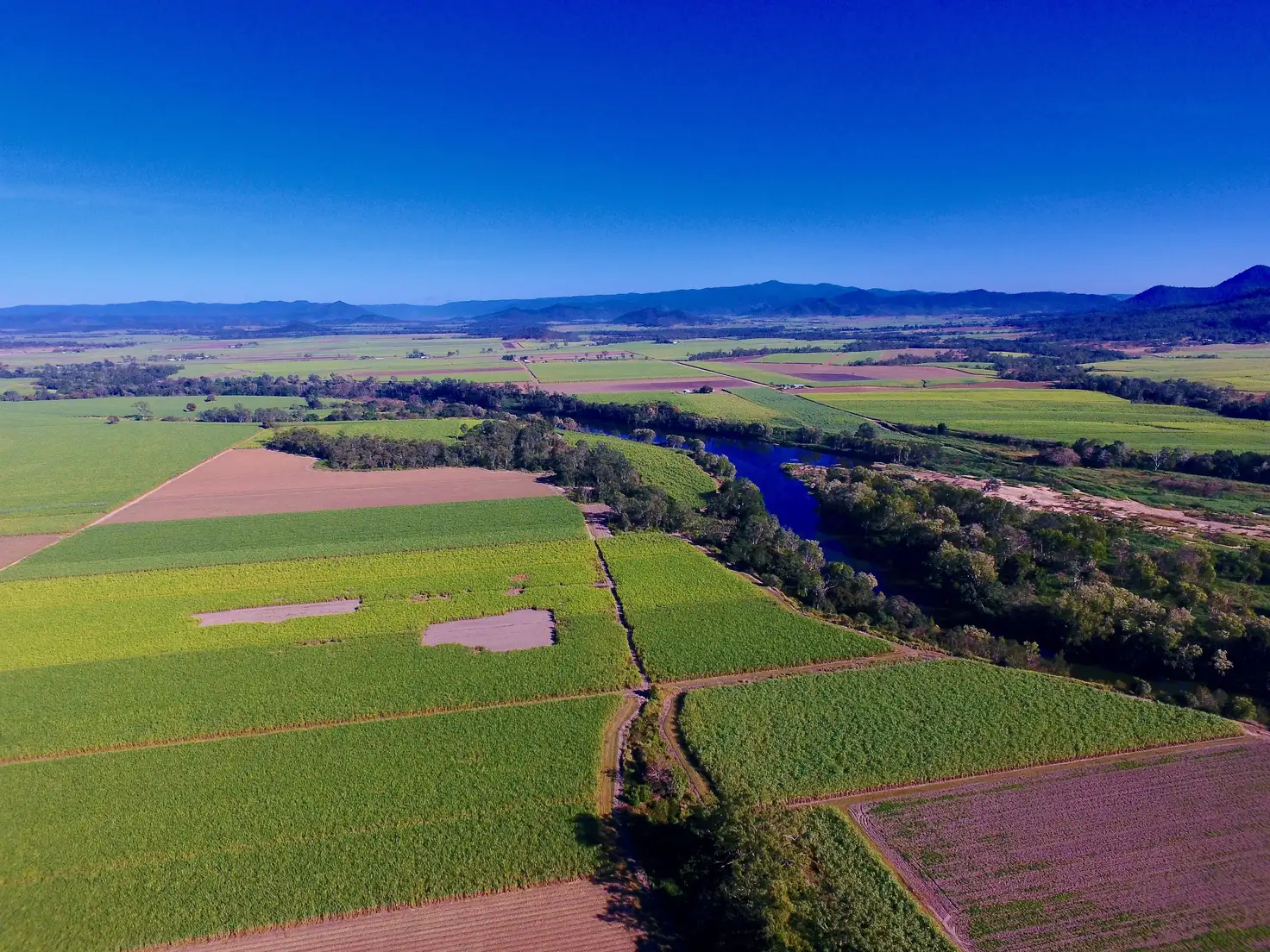 Main view of Homely rural property listing, 131 Walz Lane, Mirani QLD 4754